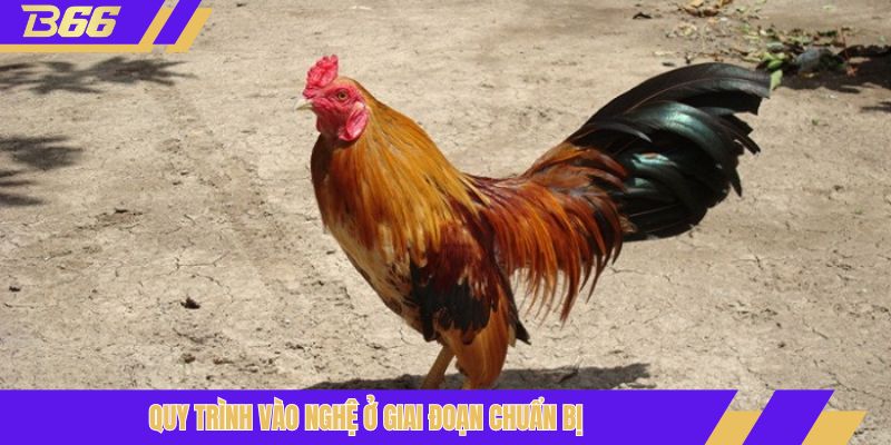 Quy trình vào nghệ ở giai đoạn chuẩn bị