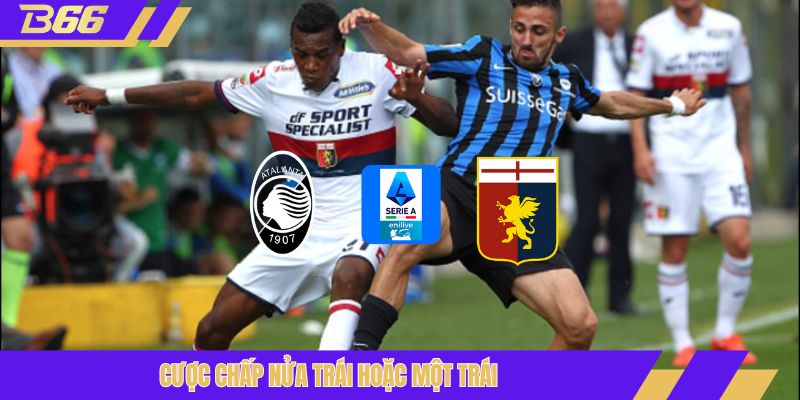 Cược chấp nửa trái hoặc một trái