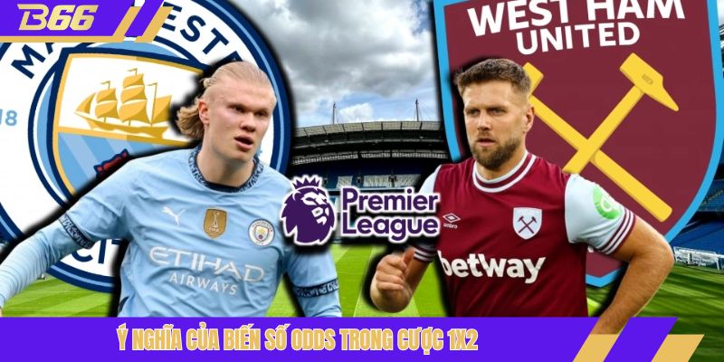 Ý nghĩa của biến số odds trong cược 1x2