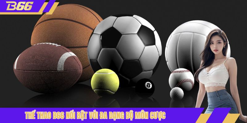 Danh mục sản phẩm đáng để bạn trải nghiệm